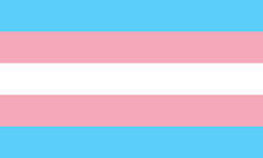 transgender flag