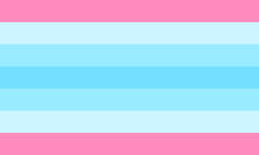 transmasc pride flag